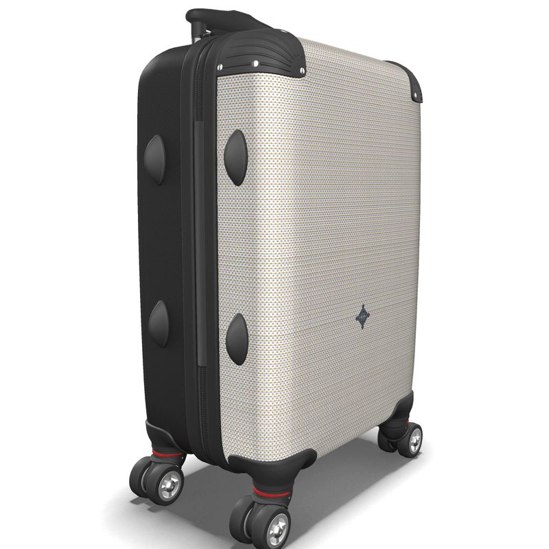 Suitcase Neutral Light Texture