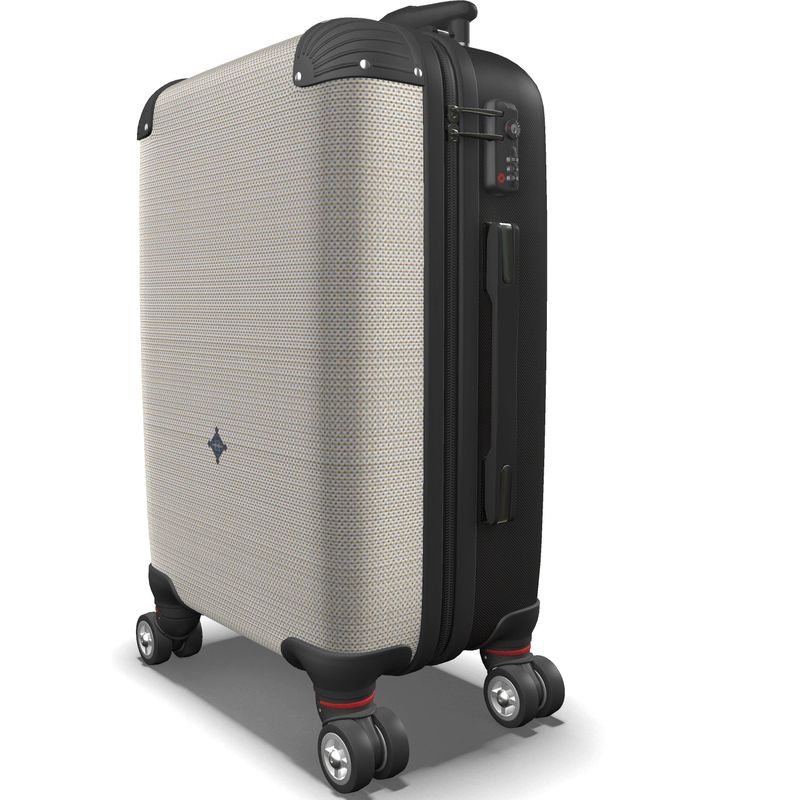 Suitcase Neutral Light Texture